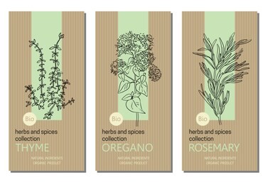 vector set of herbs and spices labels with herbs sketches: thyme, oregano and rosemary. packaging template. healthy food, bio, organic, natural product, kitchen herbs