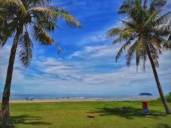 coconut tree on the tanjung aru beach, kota kinabalu with the beautiful blue sky above on sunny day.