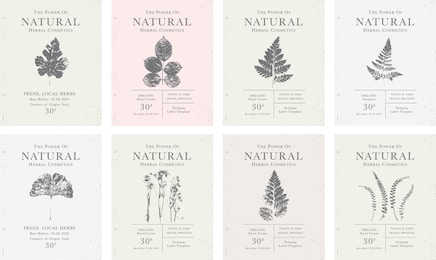 set of customizable labels of natural organic herbal products. vintage packaging design collection for cosmetics, pharmacy, healthy food. dried leaves, real herbarium