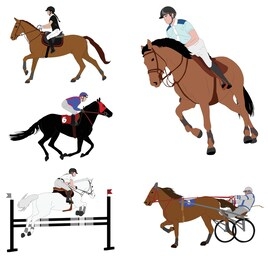 equestrian sports. dressage,jump show,gallop,harness racing  collection -vector illustration