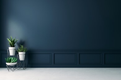 3d empty interior with home plant