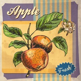 retro card design with apple