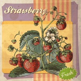 retro card design with strawberry