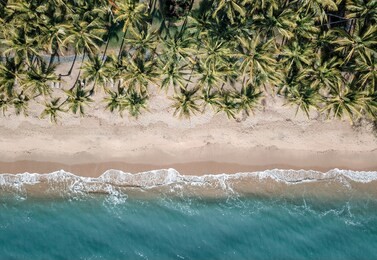 palm cove aerial shot, palm trees white sand and turquoise sea. near the great barrier reef cairns.