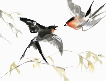 original art, watercolor painting of red-breasted birds and branches in asian style