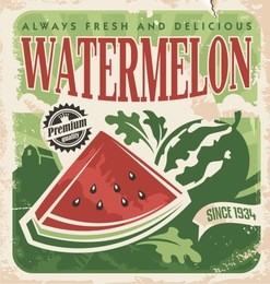 vintage poster template for watermelon farm. retro vegetables and fruit label design. vector old paper texture food background.
