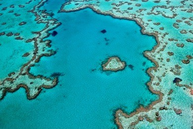 great barrier reef whitsundays australia