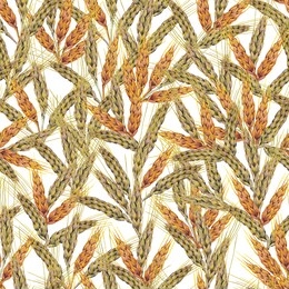 watercolor hand painted isolated elements on white background. colorful seamless pattern with realistic wheat ears.