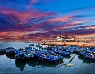 blue fishing boats on an ocean coast in essaouira, morocco