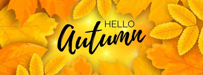 horizontal vector web banner with yellow cartoon leaves and идфсл text hello autumn on shiny background with bokeh.