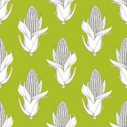 corn plants seamless pattern background. vegetable background. hand drawn doodle. corn cobs and corn grains
