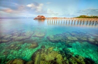 the coral of mabul island