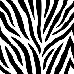seamless pattern with zebra stripes. animal print.