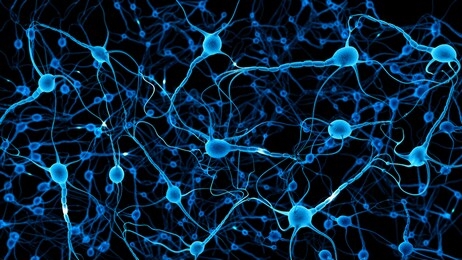 neurons in human brain, 3d rendering