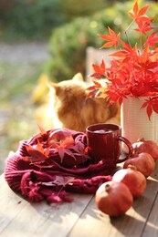 dark red scarf with autumn leaves and red ceramic mug with hot tea in the autumn garden