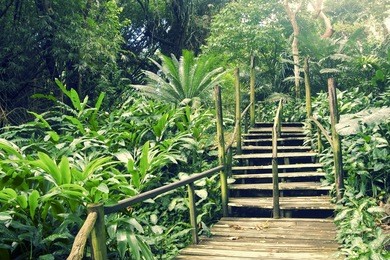garden of the sleeping giant, fiji