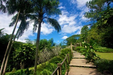 garden of the sleeping giant, fiji