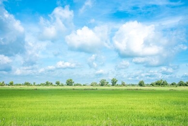  blue sky with cloud background