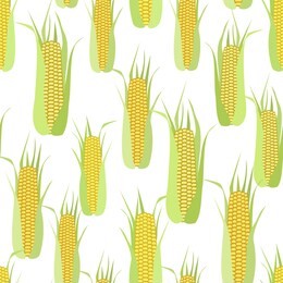 seamless pattern of corn cobs on a white background.  summer, autumn seamless pattern with mess from corn. summer, autumn harvest. design for textile, fabric,  packaging, wallpaper.
