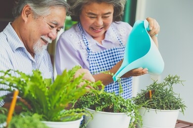 happy asian elderly couple smiling health care and have a happy life after retirement stay home and plant trees in pots.