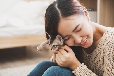 young asian woman holding and playing with her cute kitten cat with lovely moment, pet and human concept