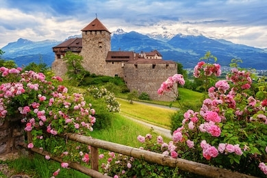 vaduz castle, liechtenstein, in the alps mountains, with beautiful blooming pink rose flowers