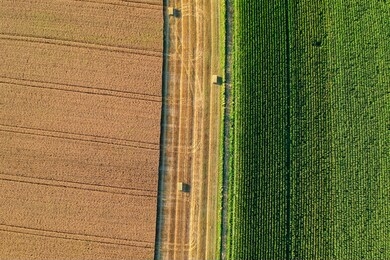 agricultural field viewed from the top by a drone