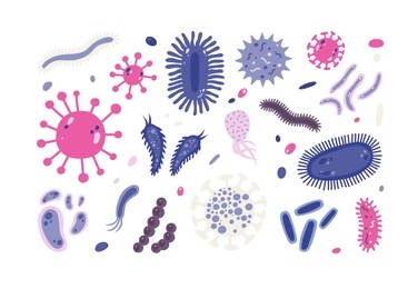 bundle of infectious microorganisms isolated on white background. set of harmful microscopic germs, pathogens, microbes. collection of disease causing bacteria and viruses. flat illustration