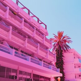 wall of the hotel in infrared style and palm tree. minimal