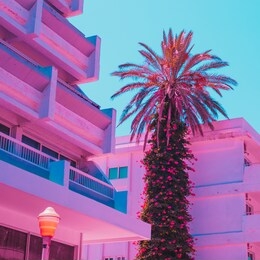 palm tree among hotels in travel concept. minimal