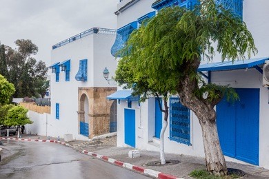 view of sidi bou said in tunisia, north africa