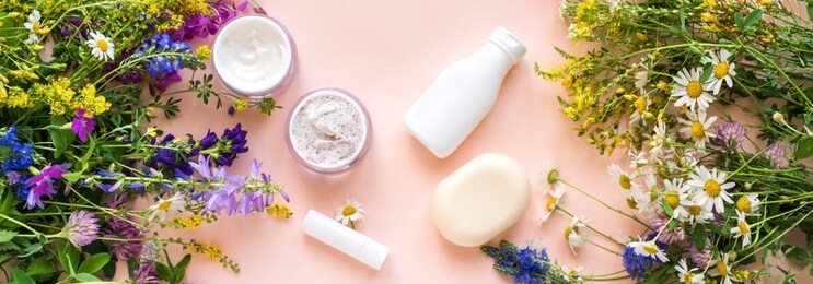 eco friendly skincare. natural cosmetics and organic herbs and flowers on pink background, top view, banner. bio research and healthy lifestyle concept.