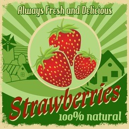 vintage poster template for strawberries farm, vector illustration