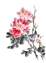 peony flower,traditional chinese ink and wash painting.