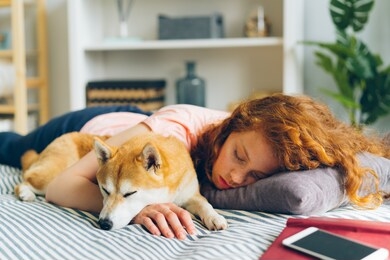 pretty teenage girl is sleeping at home hugging adorable shiba inu dog in sleep lying on couch in apartment. lifestyle, relaxation and animals concept.