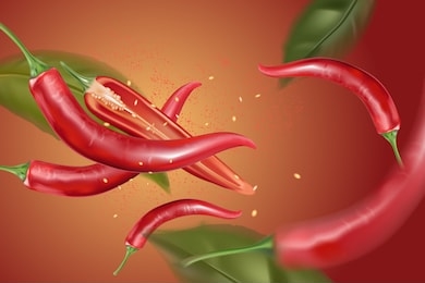 chilli pepper with chili splashing ads,  isolated on solid color background, vector realistic 3d illustration, of free space for your copy and brand.