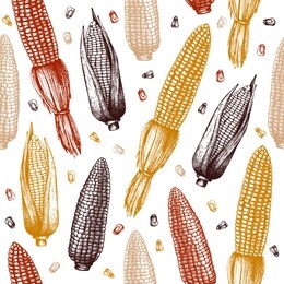 vector background with corn cobs illustration. hand drawn maize sketch. food seamless pattern with vintage cereal plants drawing. healthy food design. great for packaging, banner, menu, label. 