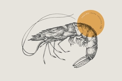 large shrimp, drawn by graphic lines on a light background. retro engraving for a menu of fish restaurants, for packaging in markets and in stores. vector vintage illustration.