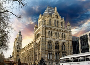 london - natural history museum - england