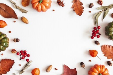 autumn composition. dried leaves, pumpkins, flowers, rowan berries on white background. autumn, fall, halloween, thanksgiving day concept. flat lay, top view, copy space
