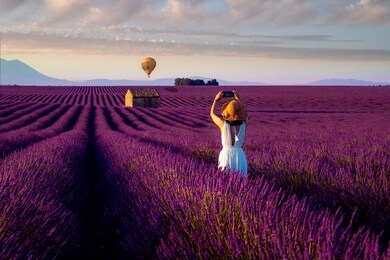 asian girl travel in lavender field in france and take photo a hot air balloon with sun set background.
