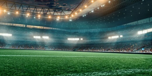 professional soccer field stadium. 3d illustration