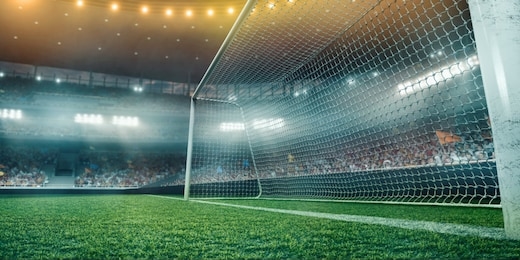 professional soccer field stadium. football goal. 3d illustration