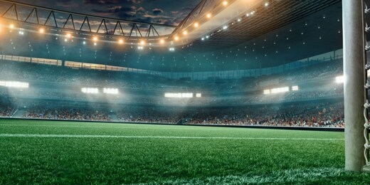 professional soccer field stadium. 3d illustration