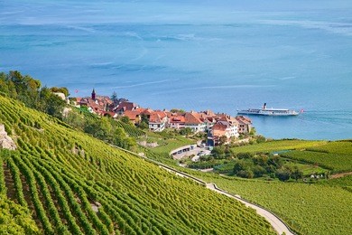 vineyards of the lavaux region over lake leman (lake of geneva)