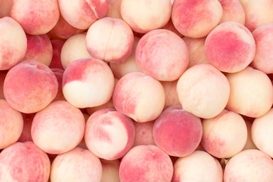 many of juicy, ripe peaches. background of peaches.