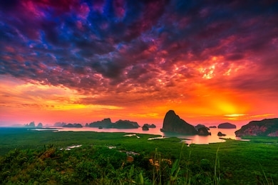 aerial view of the phang nga bay with mangrove tree forest and hills in the andaman sea, thailand