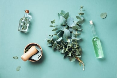 bowl, bottles of eucalyptus essential oil, mortar, bunch of fresh eucalyptus branches on green background. natual organic ingredients for cosmetics, skin care, body treatment.