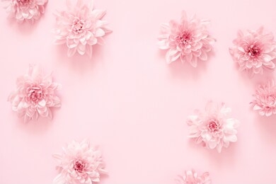 beautiful flowers composition. pink flowers on pastel pink background. valentines day, easter, happy women's day, mother's day. flat lay, top view, copy space