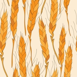 seamless repeat pattern with ripe yellow wheat spikelets
